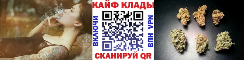 Где можно купить наркотики Киренск АМФЕТАМИН  COCAIN  ГАШ  Мефедрон  МАРИХУАНА  Alpha PVP 