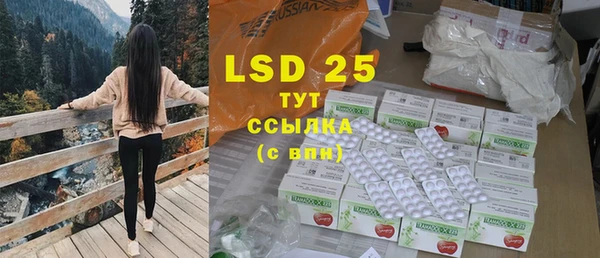 прущие грибы Алексин