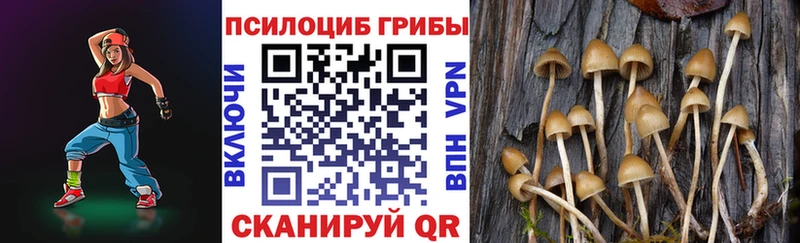 Псилоцибиновые грибы Psilocybine cubensis  закладки  Киренск 